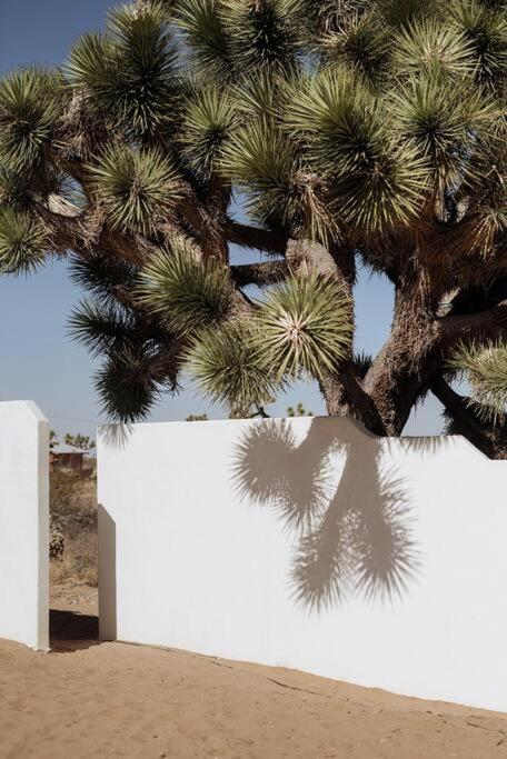 Le Chacuel Villa Joshua Tree Exterior foto
